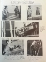 189E938A-9F1F-4C01-B928-56AFCB44DE13_1_201_a